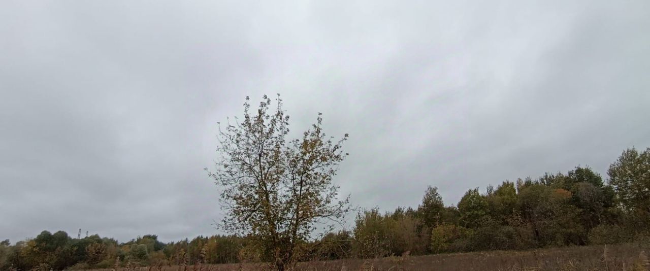 земля г Шатура фото 2