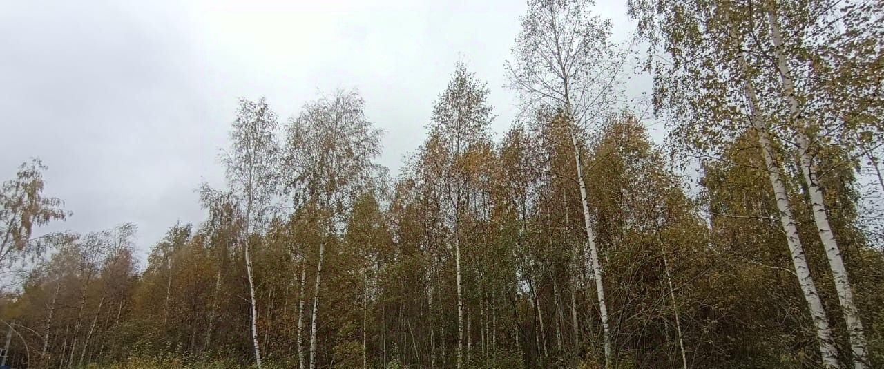 земля г Шатура фото 2