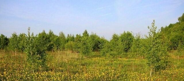д Русский Кукмор ул Лесная Русско-Кукморское с/пос фото