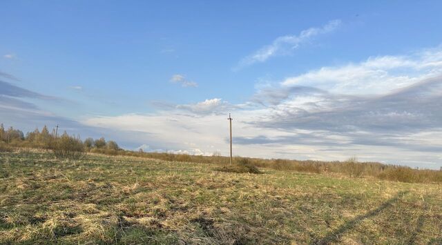 Савинское с/пос, Новгородский район, д. Дубровка фото