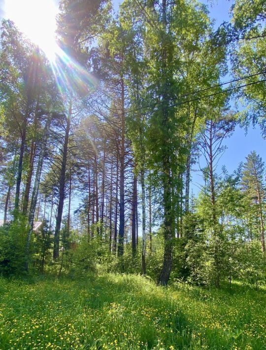 земля г Дивногорск с Овсянка фото 6