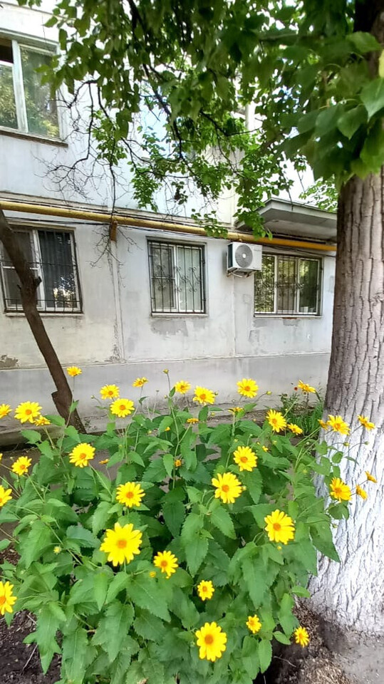 квартира г Волгоград микрорайон Развилка ул им. Козьмы Минина 6 м-н фото 14