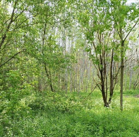 проезд Коммунальный фото