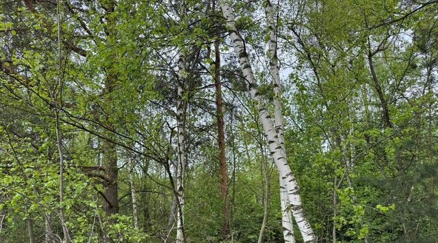 Железнодорожная фото