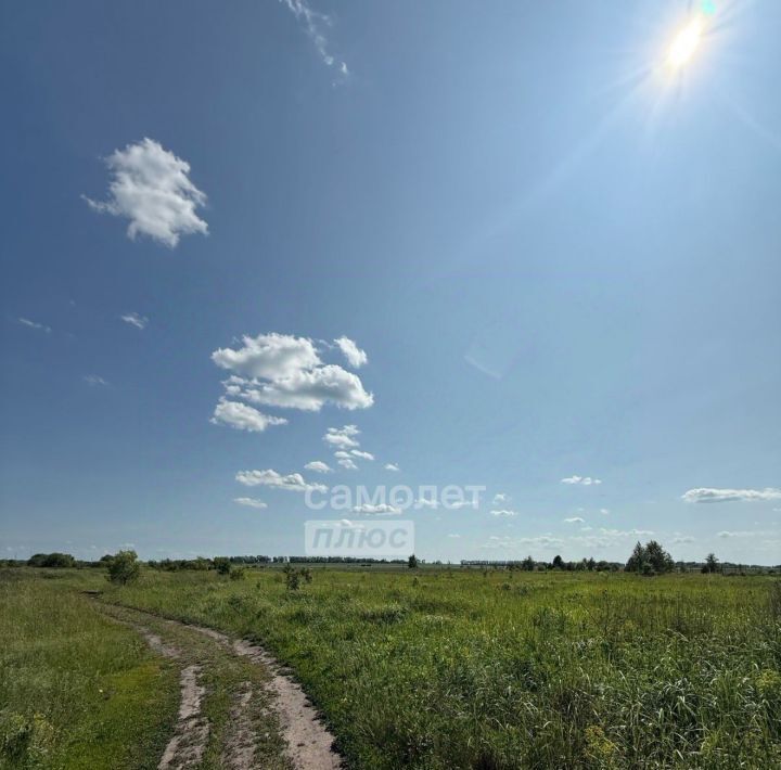 земля г Кузнецк проезд Начальный фото 1