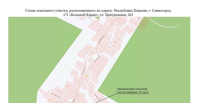 ул Центральная 261 Большой Карак садоводческое товарищество фото
