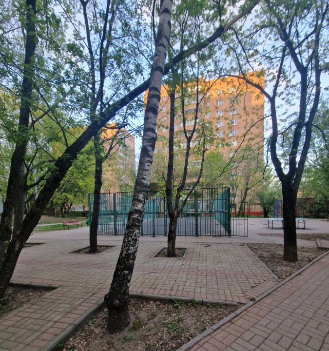 квартира г Балашиха мкр Кучино ул Чаплыгина 3 Кучино, м-н фото 21