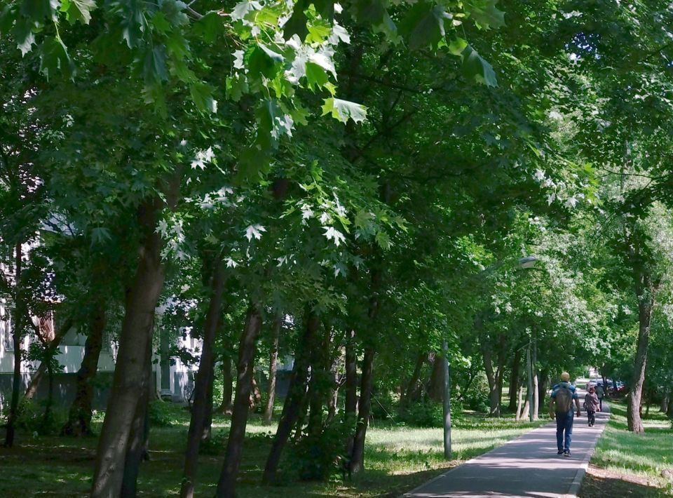 квартира г Москва метро Юго-Восточная пр-кт Рязанский 78/1 фото 11