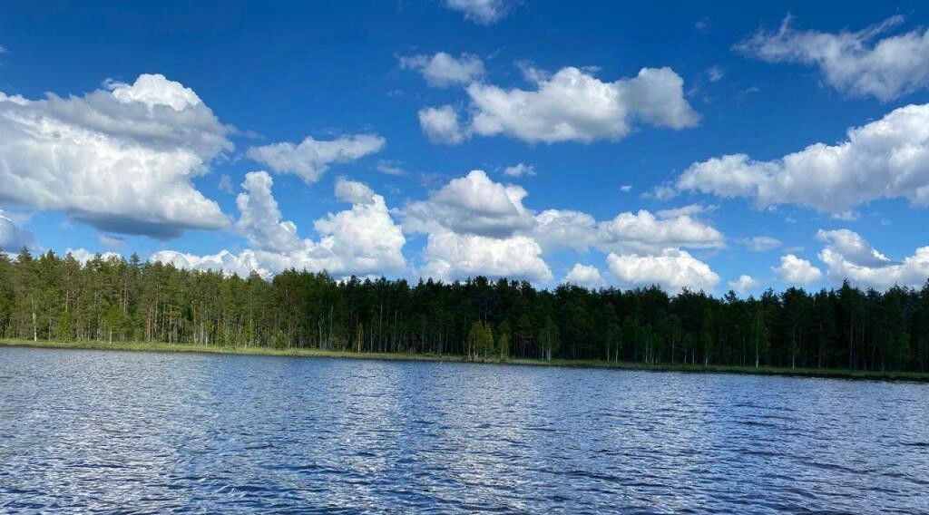 дом г Сортавала п Партала Сортавальский муниципальный округ, 1 фото 4