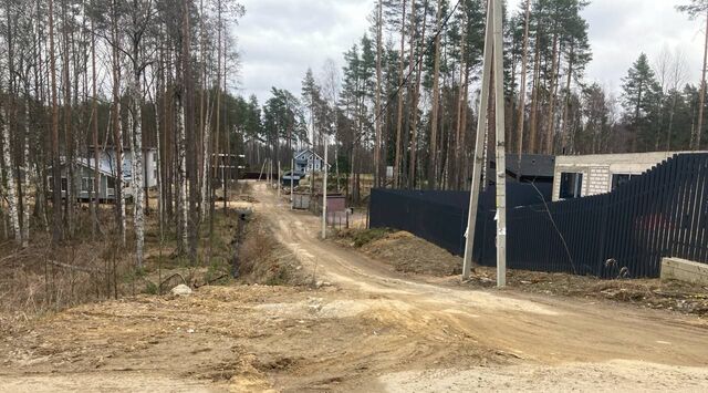 п Новое Токсово Токсовское городское поселение, Девяткино фото