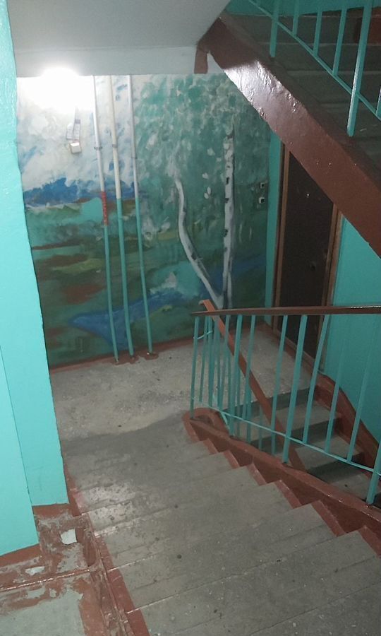 квартира г Барнаул р-н Индустриальный ул Балтийская 44 фото 20