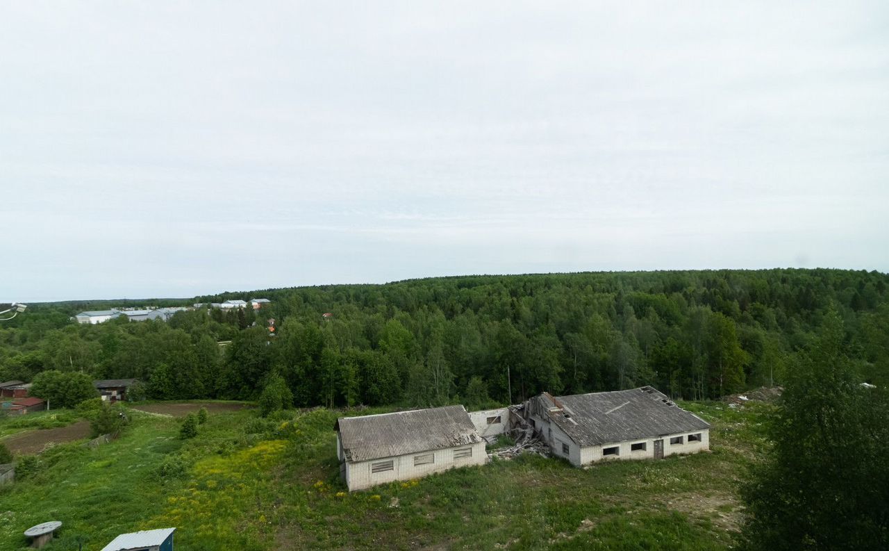 квартира г Петрозаводск р-н Птицефабрика, ул. Птицефабрика, 15А фото 18