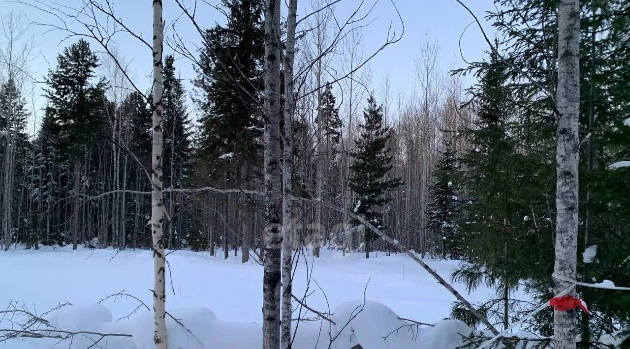 земля г Ханты-Мансийск снт Кузя СОТ, 6 фото 3