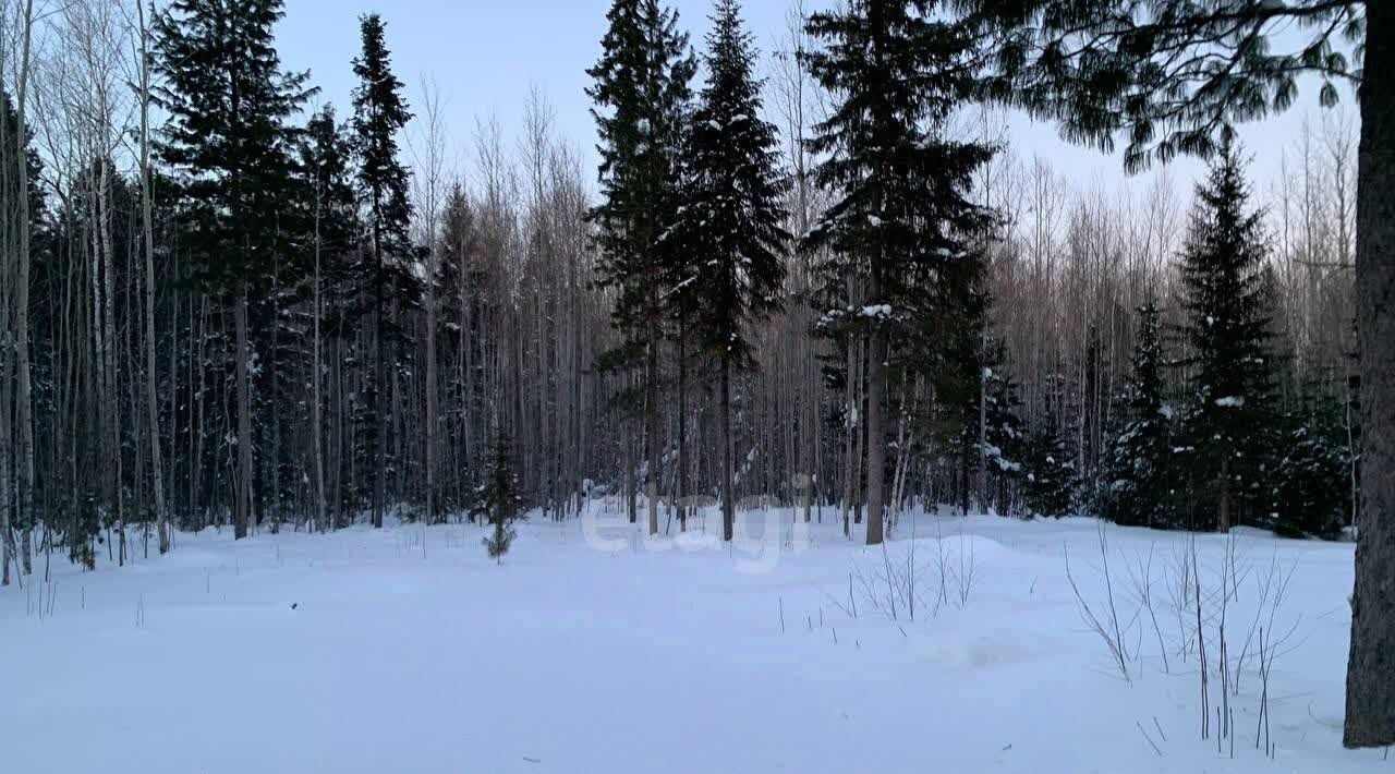 земля г Ханты-Мансийск снт Кузя СОТ, 6 фото 4