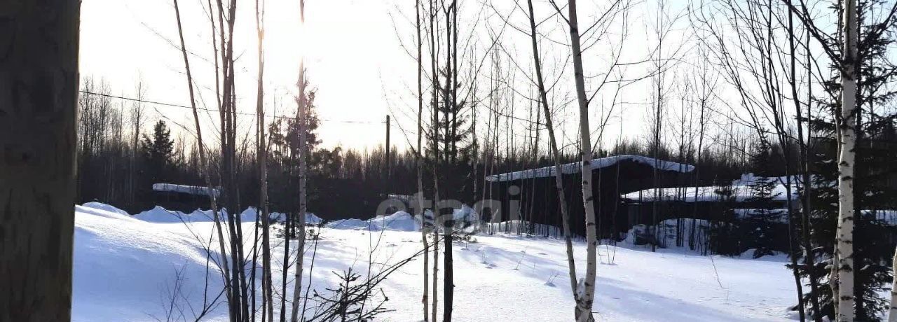 земля г Ханты-Мансийск снт СОТ Светлана фото 5