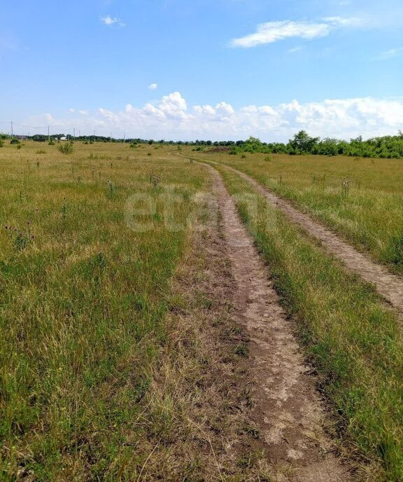 земля г Черногорск снт Прибой ул Малиновая фото 8