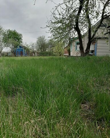 р-н Железнодорожный снт Яблонька фото
