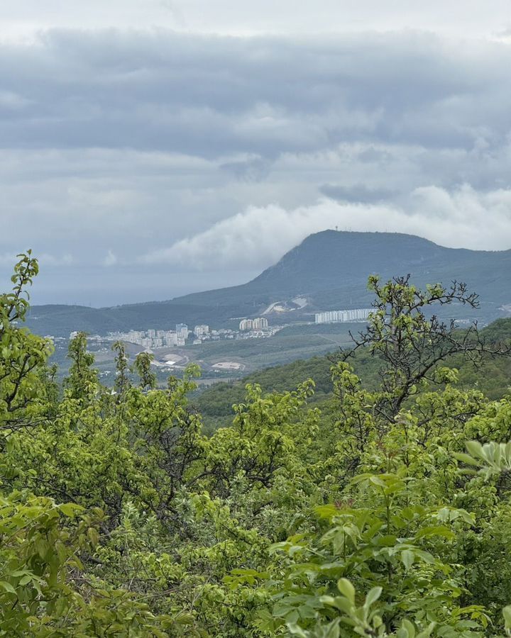 земля г Алушта п Лаванда мкр-н Кольцевой фото 1
