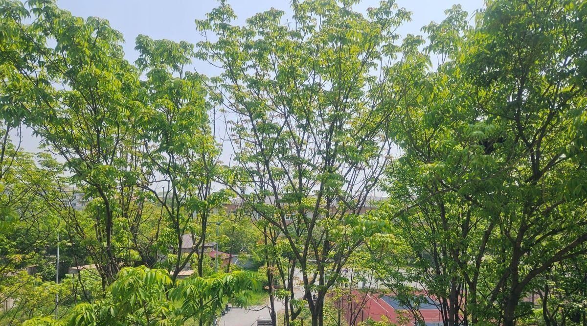 квартира г Находка пр-кт Мира 14 фото 12