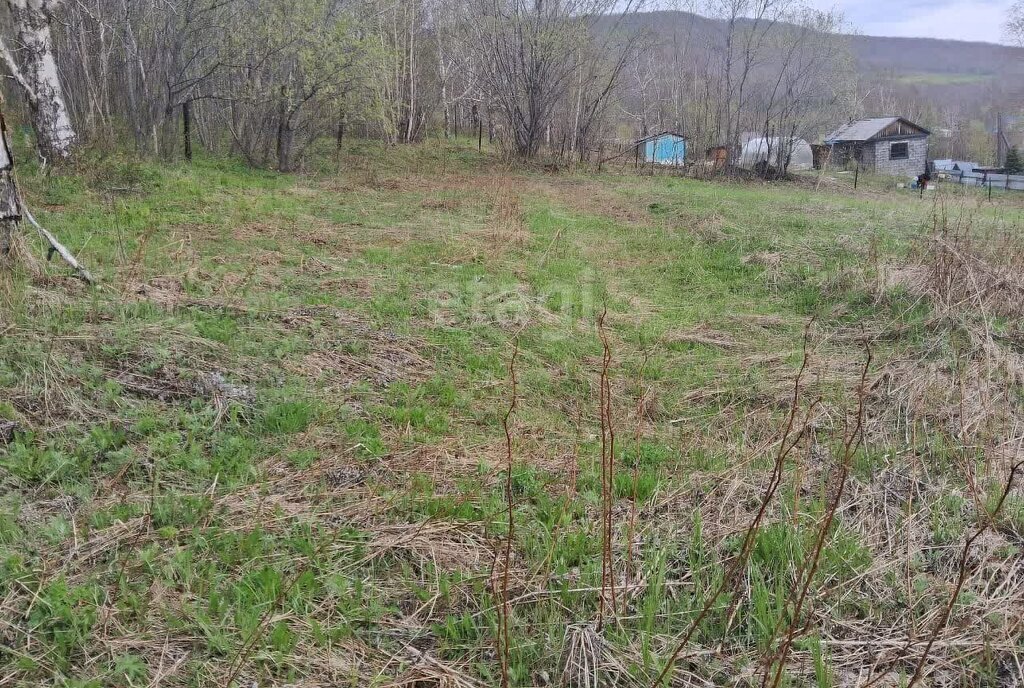 земля р-н Елизовский г Елизово ул Рябиновая фото 3