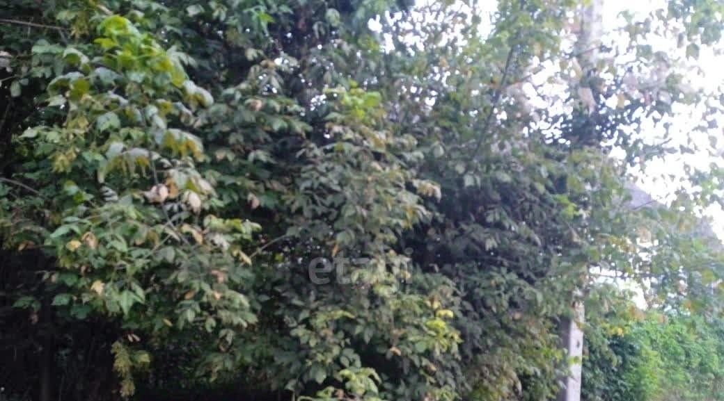земля г Горячий Ключ ст-ца Саратовская фото 4