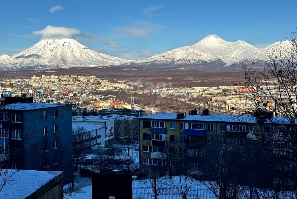 квартира г Петропавловск-Камчатский ул Автомобилистов 16 фото 17