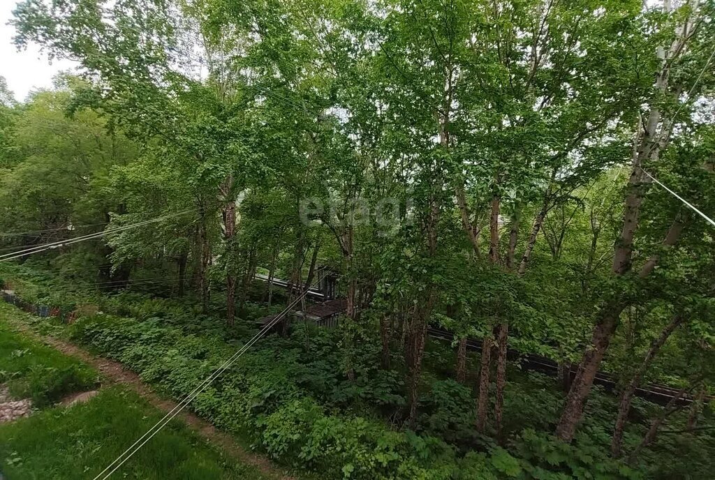 квартира г Петропавловск-Камчатский ул Кирдищева 21 фото 21