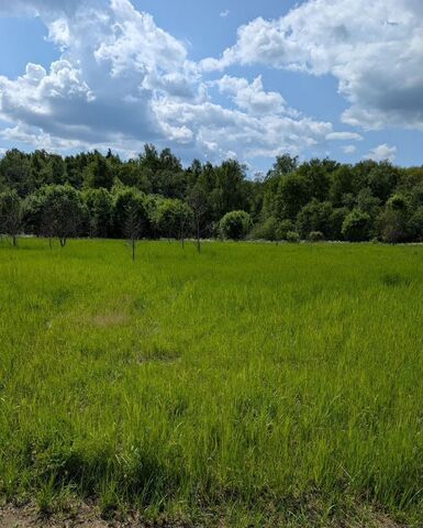 сельское поселение Совхоз Боровский, мкр-н Васильки, Обнинск фото