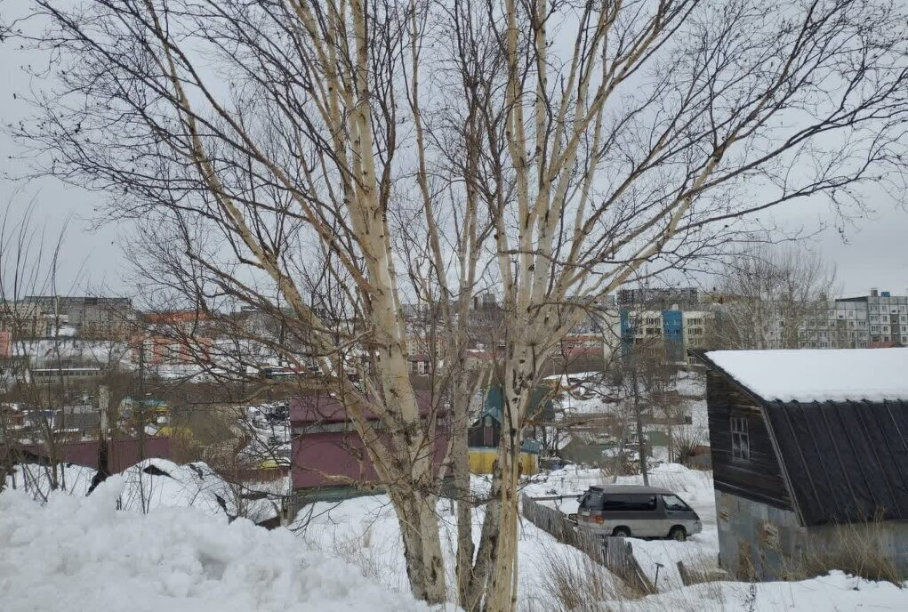 дом г Петропавловск-Камчатский ул Сурикова фото 11
