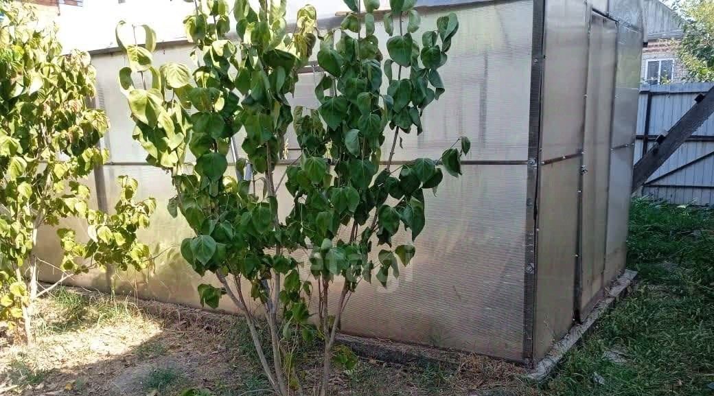 дом г Горячий Ключ ст-ца Саратовская фото 20