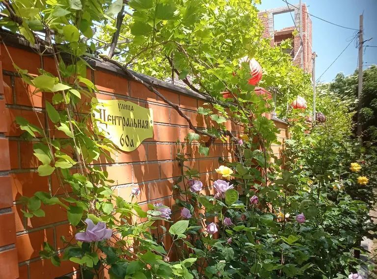 комната р-н Ейский г Ейск ул Центральная 60а фото 2