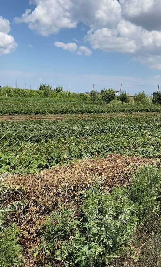 земля г Феодосия пгт Приморский товарищество собственников недвижимости Садко, 10-я Садовая ул., 49, край Приморский, г Фокино, Крым фото 1