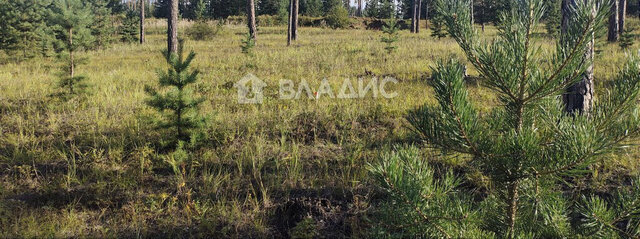 земля ул Энергетическая фото