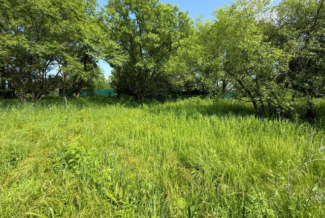 с Кролевцы Артёмовский городской округ фото