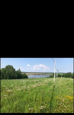 с Богородское Селково, 18 фото