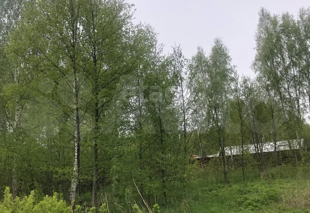 земля г Дубна снт Репка 81, Дмитровский муниципальный округ фото 1
