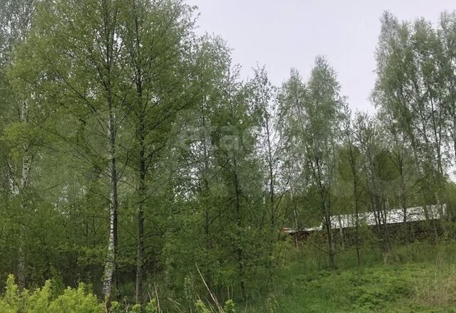 снт Репка 81, Дмитровский муниципальный округ фото