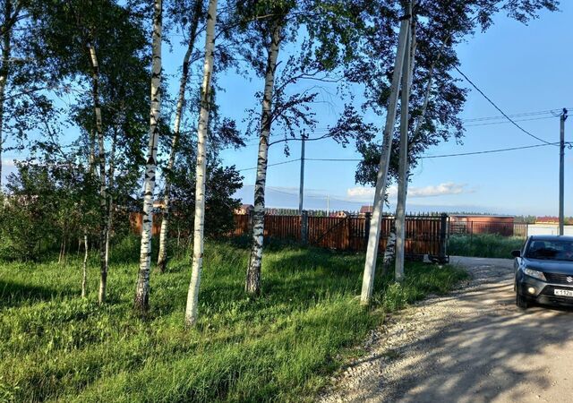 35 км, Икша, Рогачёвское шоссе фото