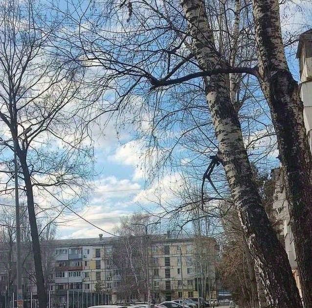 квартира г Самара Безымянка пр-кт Карла Маркса 378 фото 12