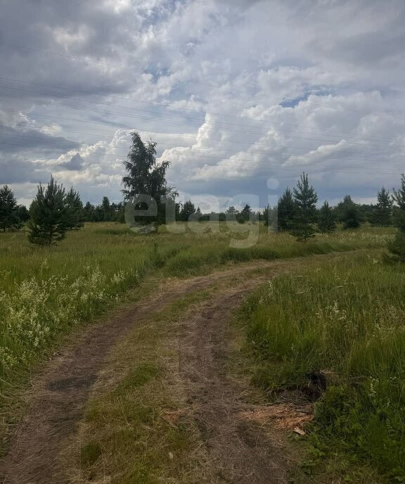 земля г Шадринск ул Носилова фото 6