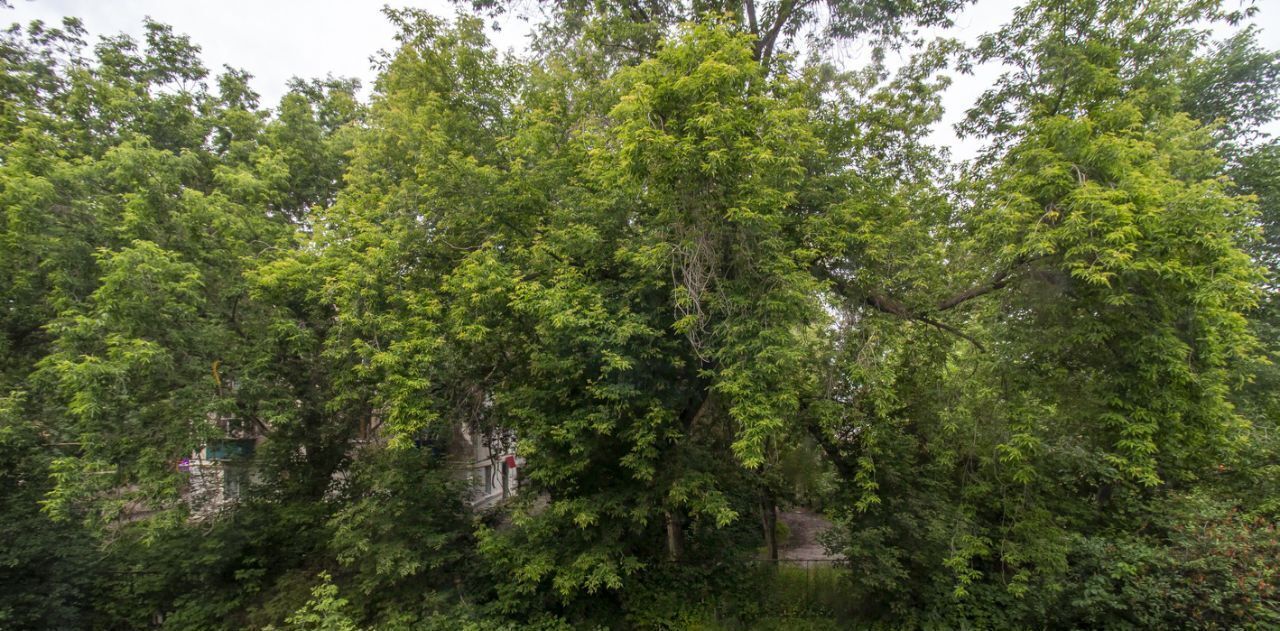 квартира г Ульяновск р-н Засвияжский ул Достоевского 17 фото 15