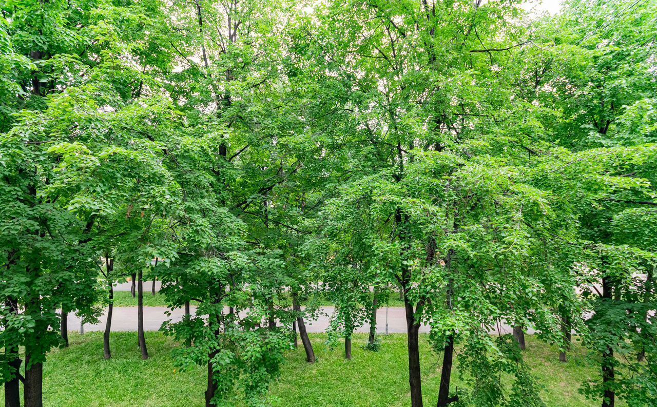 квартира г Екатеринбург Уралмаш ул Культуры 14 фото 15