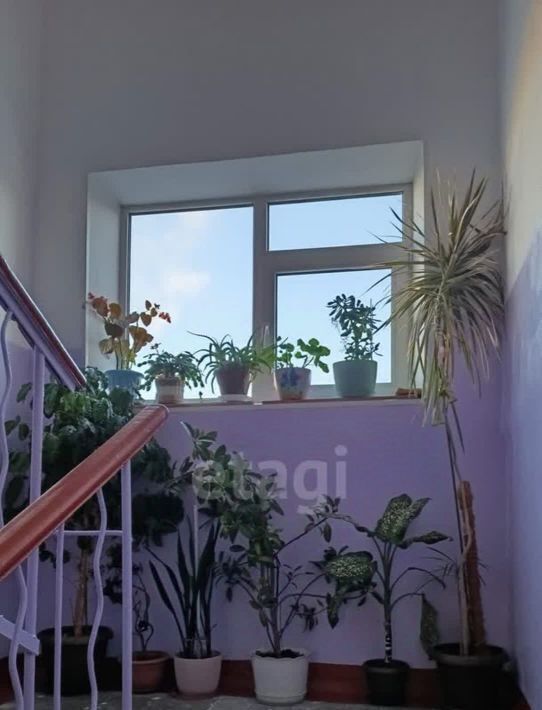 квартира г Благовещенск ул Ленина 209 фото 6