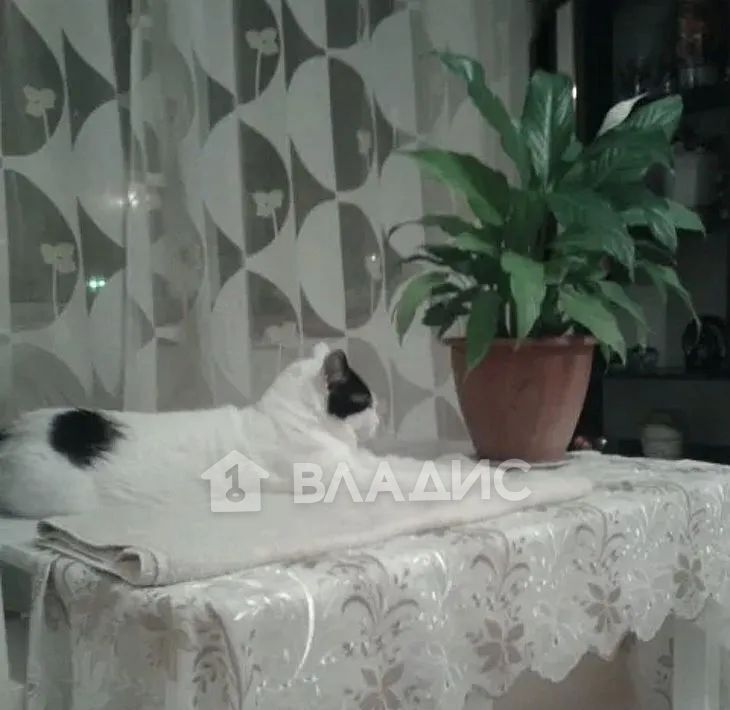 квартира г Белгород Восточный б-р Народный 3а фото 5