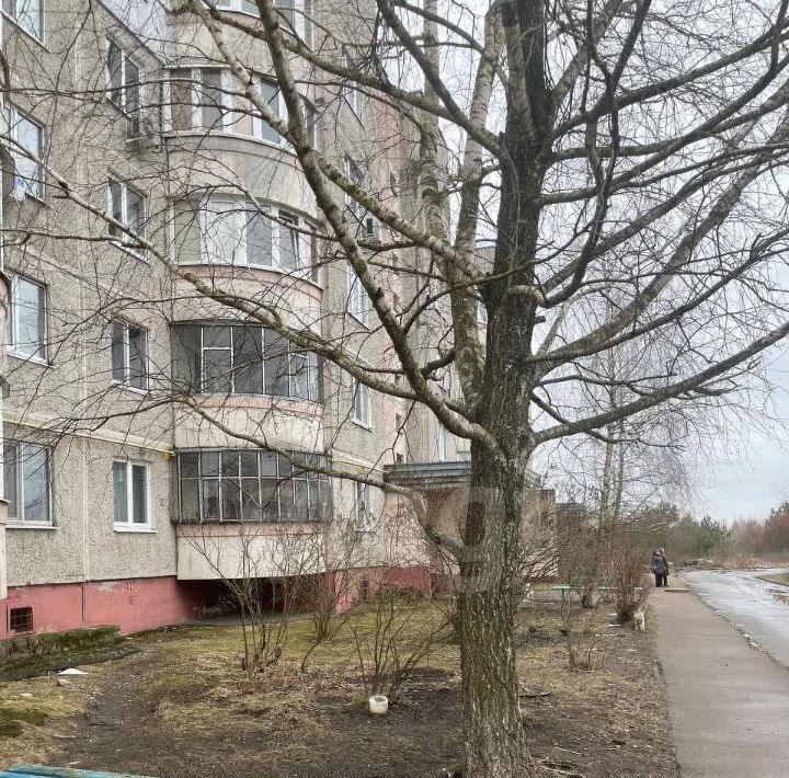квартира г Брянск р-н Бежицкий мкр Автозаводец 11 фото 27