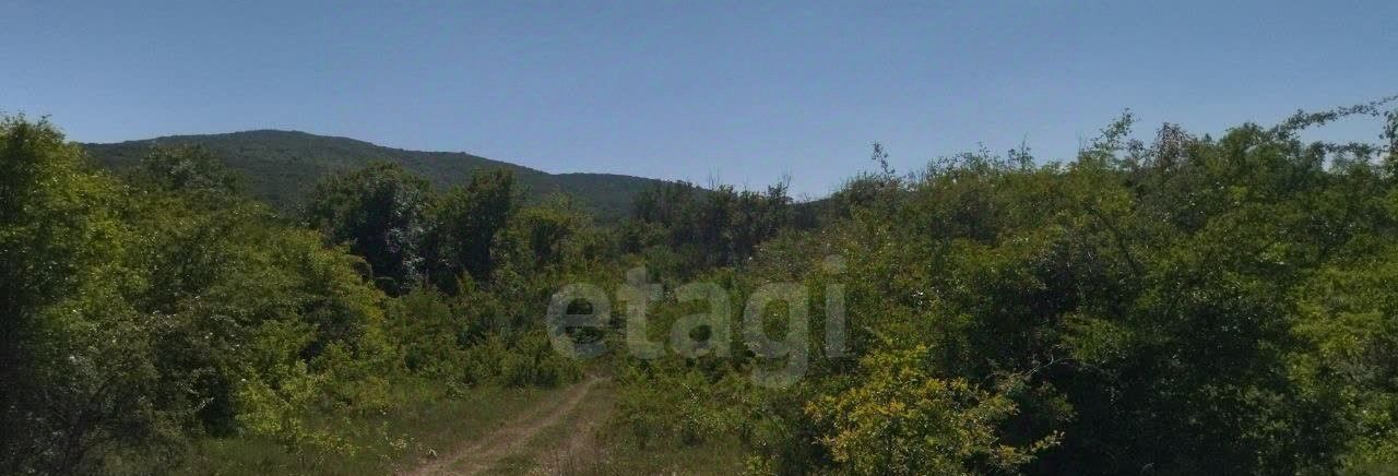 земля г Феодосия с Краснокаменка ул Ленина фото 7