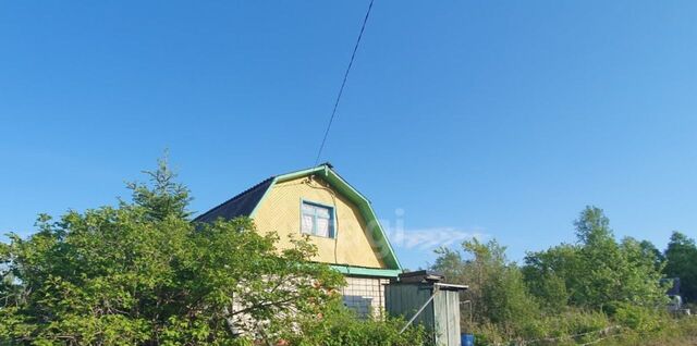 сад Энергостроитель 110 фото