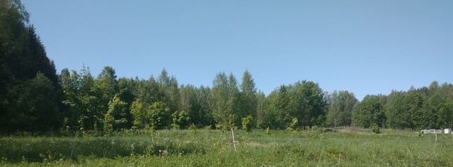 Рощинское с/пос фото