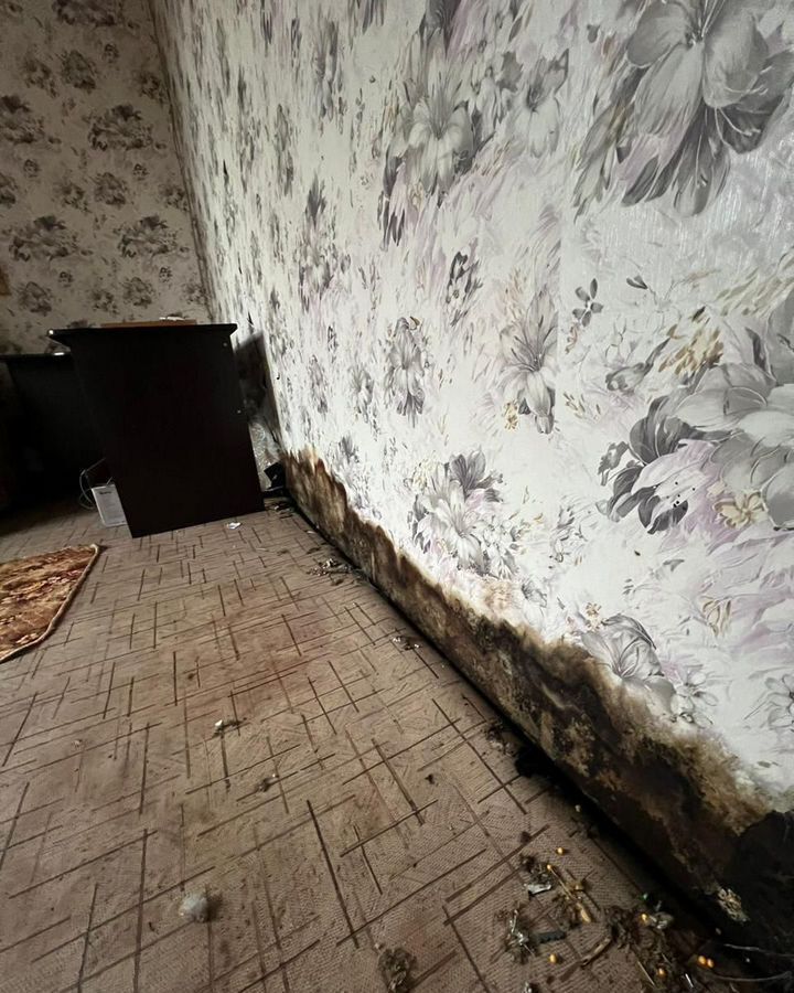 дом г Великий Новгород Кречевицы ул Александровская 1д мкр-н Кречевицы фото 16