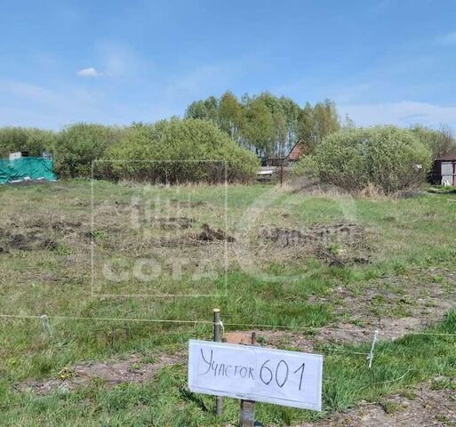 земля снт Светлое ул Садовая 601 Усманское 1-е сельское поселение, Новая Усмань фото